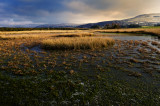 Traeth Mawr, Mynydd Illtyd