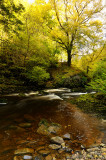 Autumn, Afon Mellte, Pontneddfechan