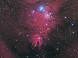 NGC2264 - Cone Nebula in Monoceros