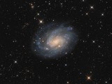 NGC300 in Sculptor
