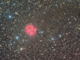 IC5146 - Cocoon Nebula in Cygnus