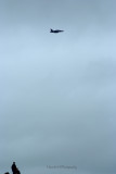 S_DSCF2598.jpg