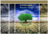 Elderflower.org mockup  (2006)