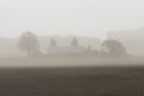 Another foggy morning...