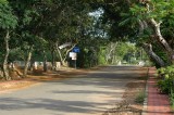 DSC_9860.JPG