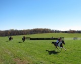 IMG_1360.jpg