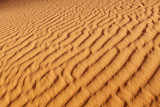 Desert Texture