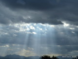 Monsoon Morning   2732