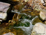 Ramsey Creek     IMG_3767