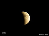 Full Moon/Blood Moon/Super Moon/Partial Eclipse     4505