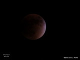 Full Moon/Blood Moon/Super Moon/Total Eclipse     4545