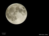 Full Moon/Blood Moon/Super Moon/Lunar Eclipse     4574
