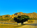 IMG_0706