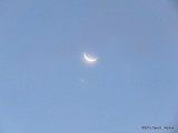 Moon and Venus      IMG_0156