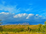HDR