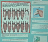 20 Know Your Horses-Field Daya 2011.jpg