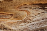 Snake? Toad? Monster?