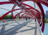 Peace Bridge Calgary