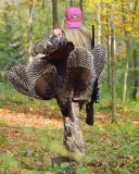 10-16-16 - Alisons 1st turkey