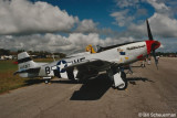 P-51 Donald