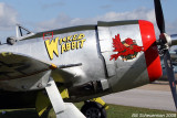 P-47 Wicked Wabbit