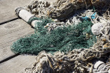 Fishing Net 1.JPG