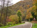 Autumn in the Eifel hills