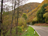 Autumn in the Eifel hills