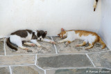 Kastro  Sifnos