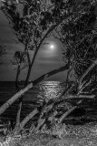 A hazy Supermoon
