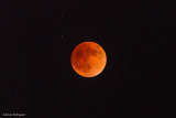 Blood Moon