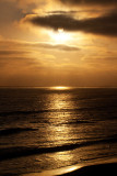 San Diego surfer sunset _MG_9972.jpg