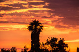 california sunset_Z6A5979.jpg