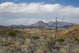 pStryker-BigBend_0315-1.jpg