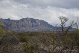 pStryker-BigBend_0330-1.jpg