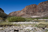 pStryker-BigBend_0663.jpg
