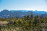pStryker-BigBend_0837.jpg