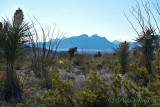 pStryker-BigBend_0847.jpg