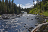 pStryker-yellowstone-gibbon-falls_9486.jpg