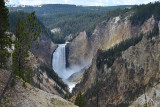 pStryker-yellowstone-lower-falls_9846-1.jpg