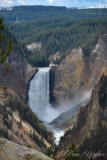 pStryker-yellowstone-lower-falls_9847.jpg