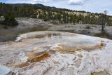 pStryker-yellowstone-mammoth-hot-springs_0425.jpg