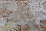 pStryker-yellowstone-mammoth-springs_0447.jpg