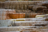 pStryker-yellowstone-mammoth-springs_0458.jpg