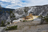 pStryker-yellowstone-mammoth-springs_0460.jpg
