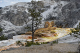 pStryker-yellowstone-mammoth-springs_0461.jpg