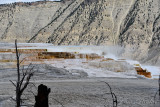 pStryker-yellowstone-mammoth-springs_0506.jpg