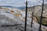 pStryker-yellowstone-mammoth-springs_0511.jpg