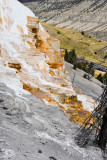 pStryker-yellowstone-mammoth-springs_0524.jpg