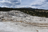 pStryker-yellowstone-mammoth-springs_0541.jpg